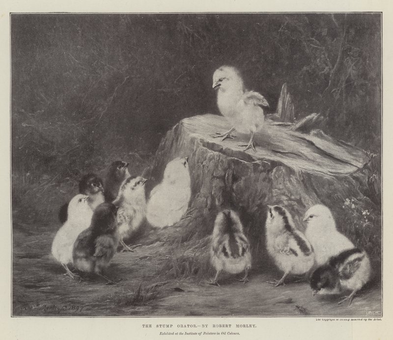kikut orator autorstwa Robert Morley