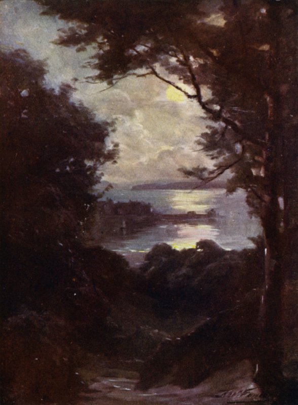 Beaumaris, Moonlight (kolor lito) autorstwa Robert (after) Fowler