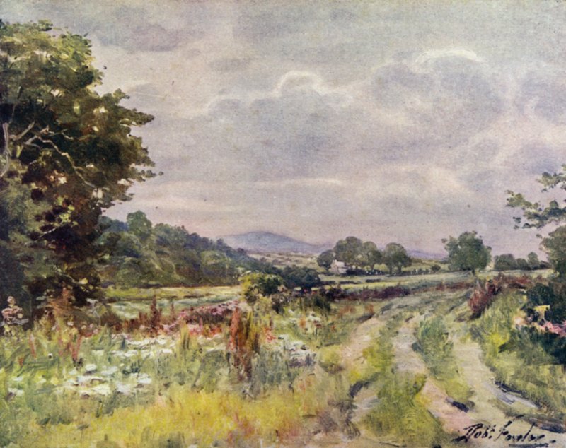 Country Lane (kolor lito) autorstwa Robert (after) Fowler