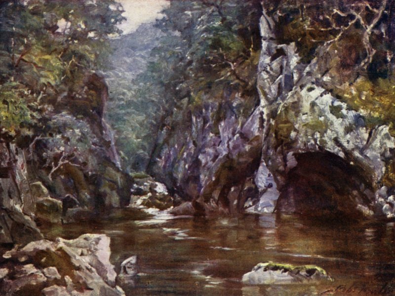 Fairy Glen, Bettws-y-Coed (kolor lito) autorstwa Robert (after) Fowler