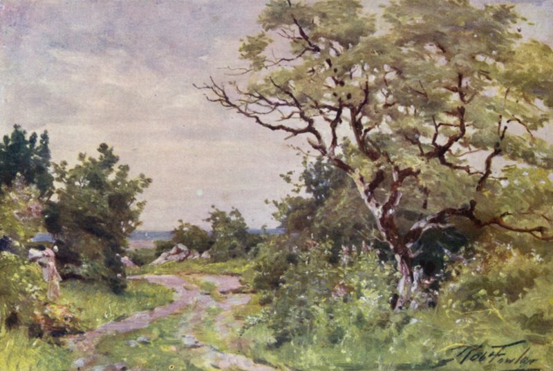 Field Path, niedaleko Llanrug (kolor lito) autorstwa Robert (after) Fowler
