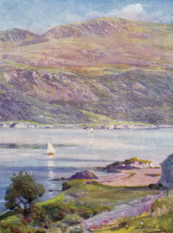 Sunny Afternoon, Cardigan Bay (kolor lito) autorstwa Robert (after) Fowler