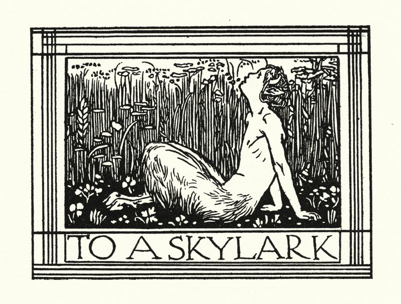 Shelley: To A Skylark (litografia) autorstwa Robert Anning Bell