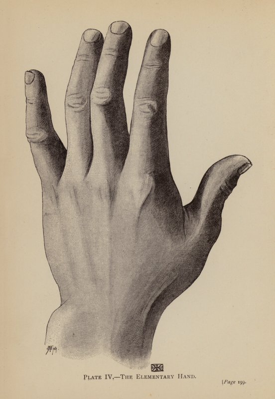 Ręka elementarna (lito) autorstwa Rosamund Brunel Horsley Gotch