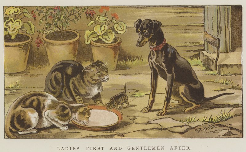 Panie po pierwsze i panowie po (chromolitho) autorstwa S.T. Dadd