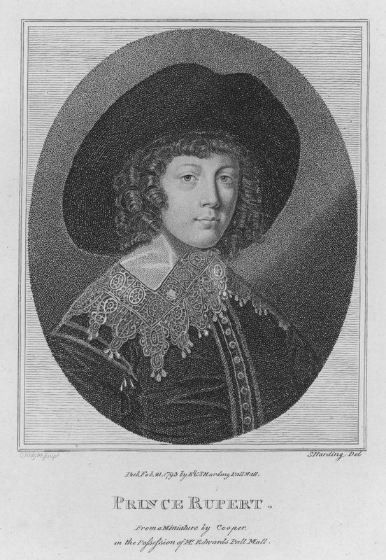 Książę Rupert (grafika) autorstwa S. (after) Harding