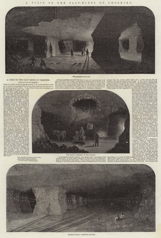 Wizyta w kopalniach soli w Cheshire autorstwa Samuel Read