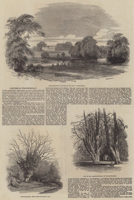 Szkice Strathfieldsaye autorstwa Samuel Read