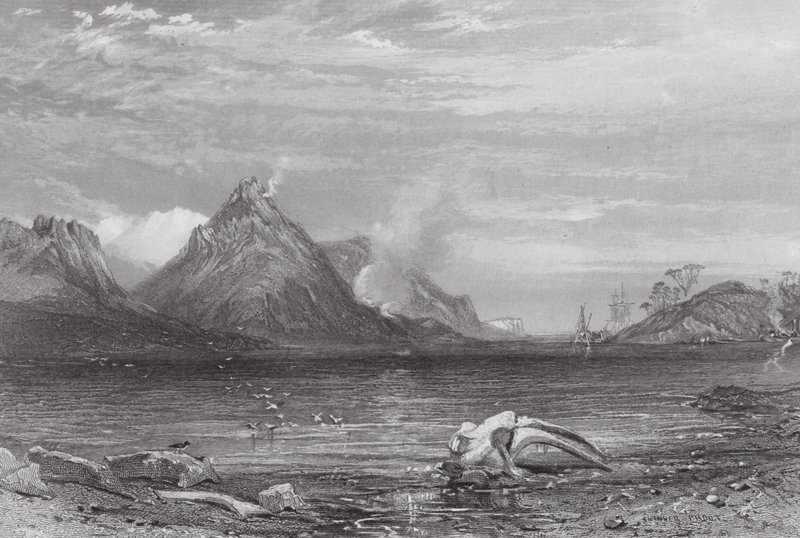 Australia: Stara stacja wielorybnicza (grawerunek) autorstwa Samuel (after) Prout
