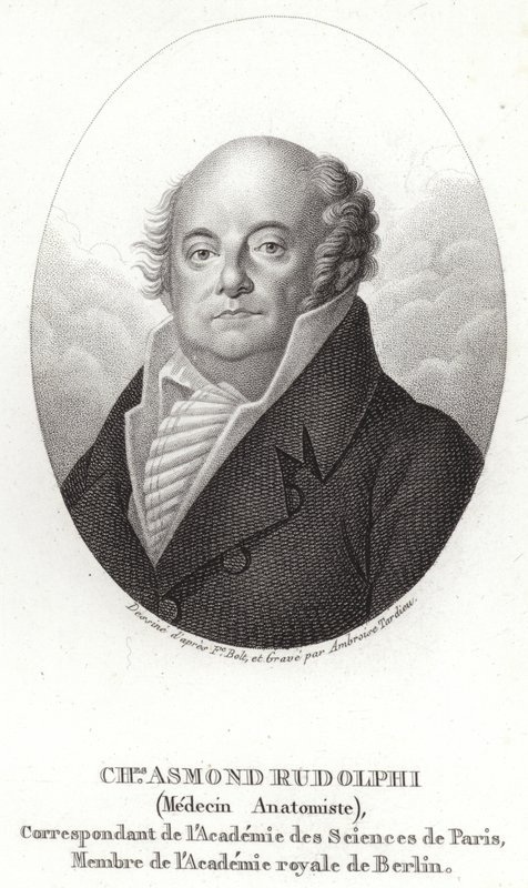 Karl Asmund Rudolphi autorstwa Swedish School