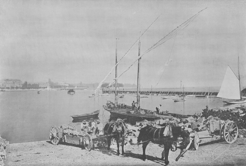 Geneve, Le Port (zdjęcie czarno-białe) autorstwa Swiss Photographer