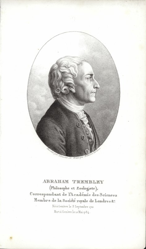 Abraham Trembley autorstwa Swiss School