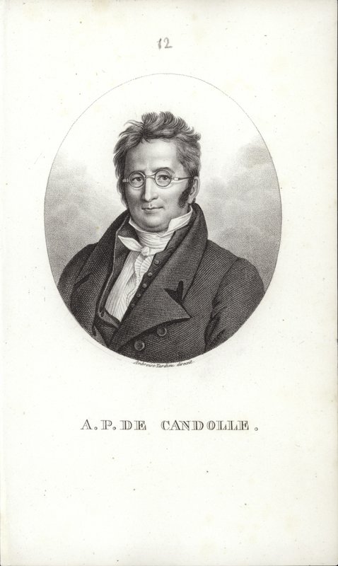 Augustyn Pyramus de Candolle autorstwa Swiss School