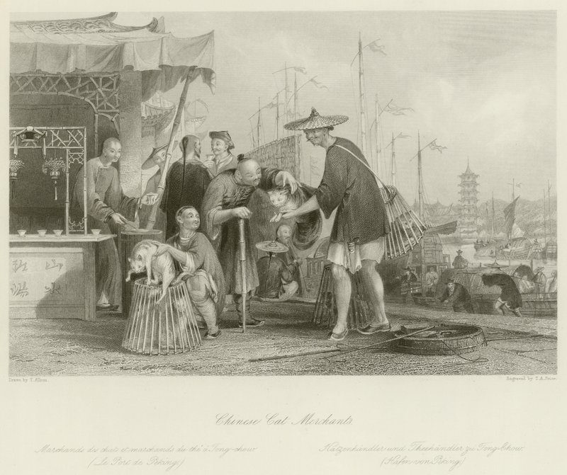 Chińscy handlarze kotami autorstwa Thomas Allom