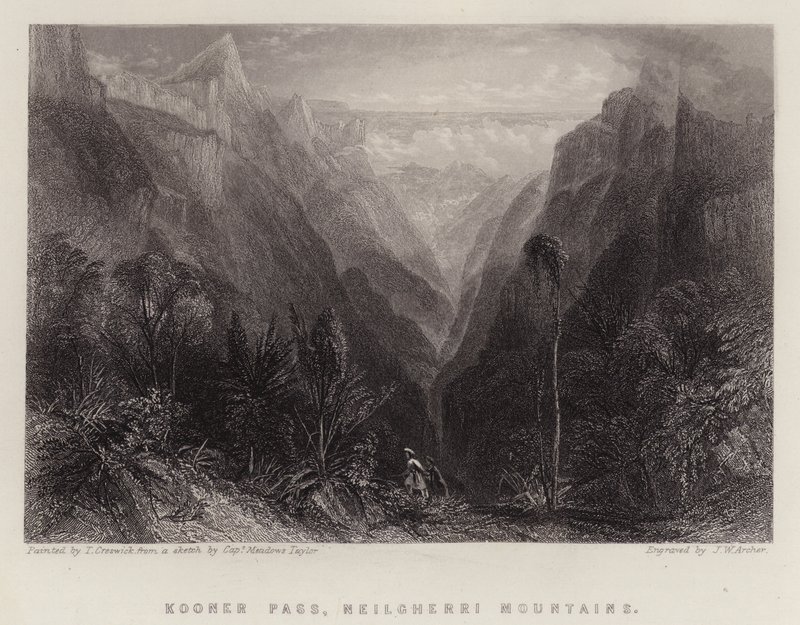 Przełęcz Kooner, góry Neilgherri (kolor lito) autorstwa Thomas Creswick
