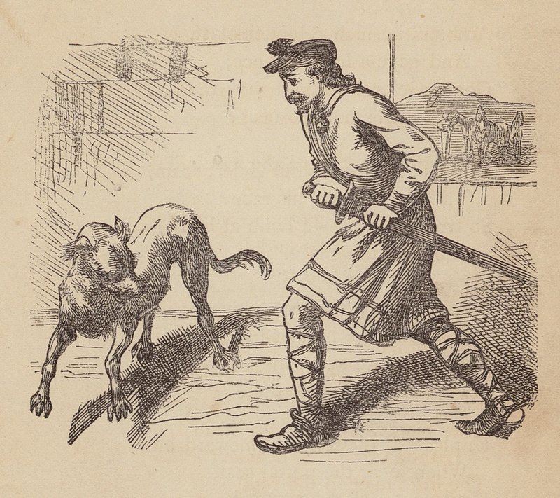 Llewellyn i jego pies (kolorowa rycina) autorstwa Thomas Dalziel