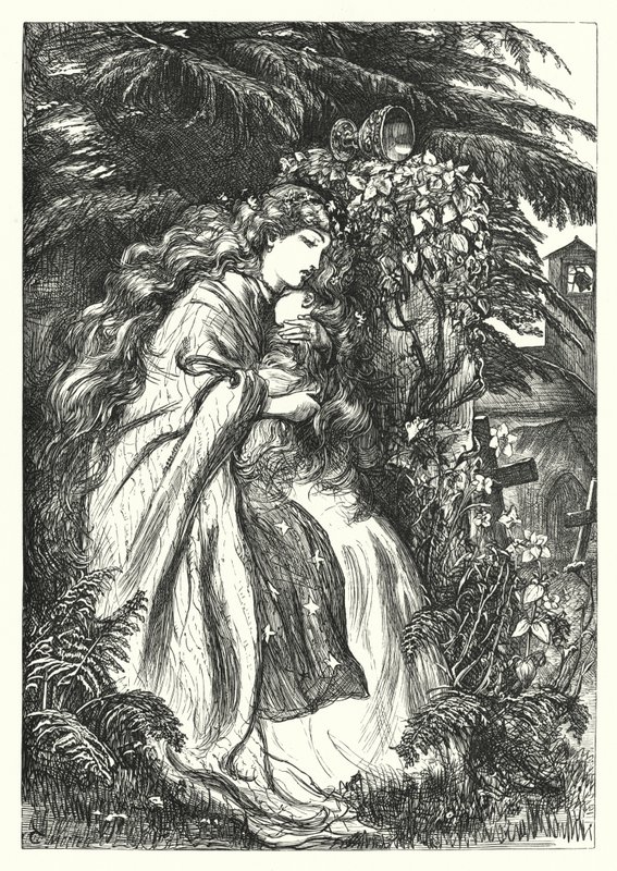 Zamek Klary (rycina) autorstwa Thomas Morten