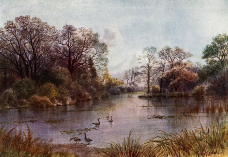Kew Gardens: The Lake (kolor lito) autorstwa Thomas Mower Martin