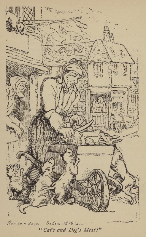 Koty i Psy Mięso! autorstwa Thomas Rowlandson