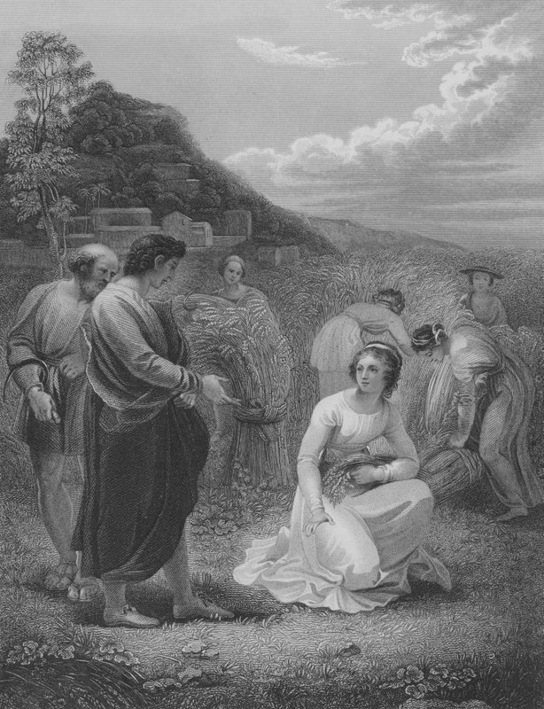 Rut Zbieranie, Rut 2, Wersety 1-15 autorstwa Thomas Stothard