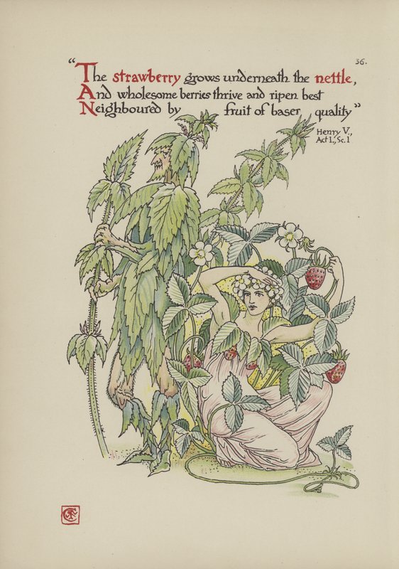 Kwiaty z Ogrodu Szekspira autorstwa Walter Crane