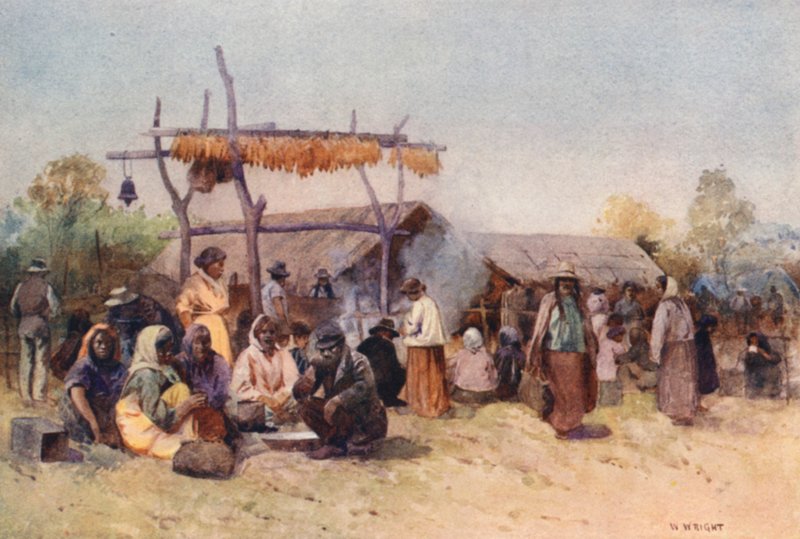Nowa Zelandia: Native Gathering (kolorowa litografia) autorstwa Walter Wright