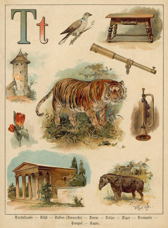 Litera T (chromolitho) autorstwa Walter Zweigle