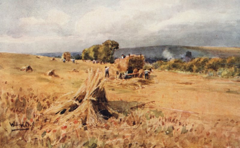 Żniwa (druk kolorowy) autorstwa Wilfrid Williams Ball