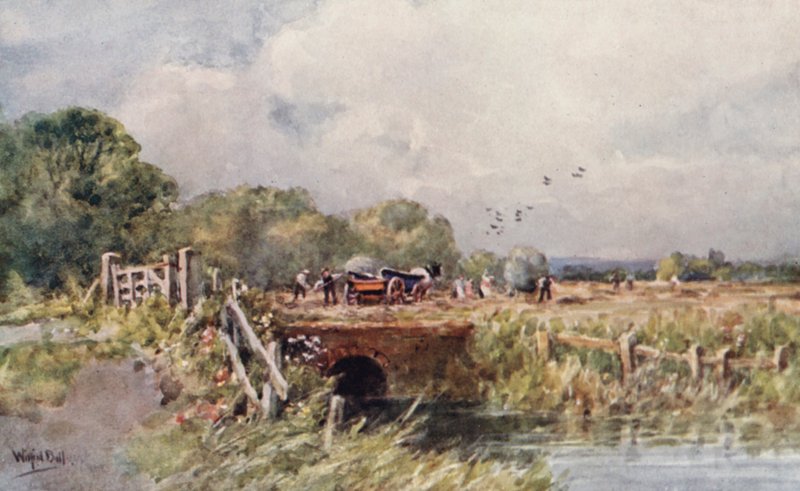 Sianokosy (kolorowa litografia) autorstwa Wilfrid Williams Ball