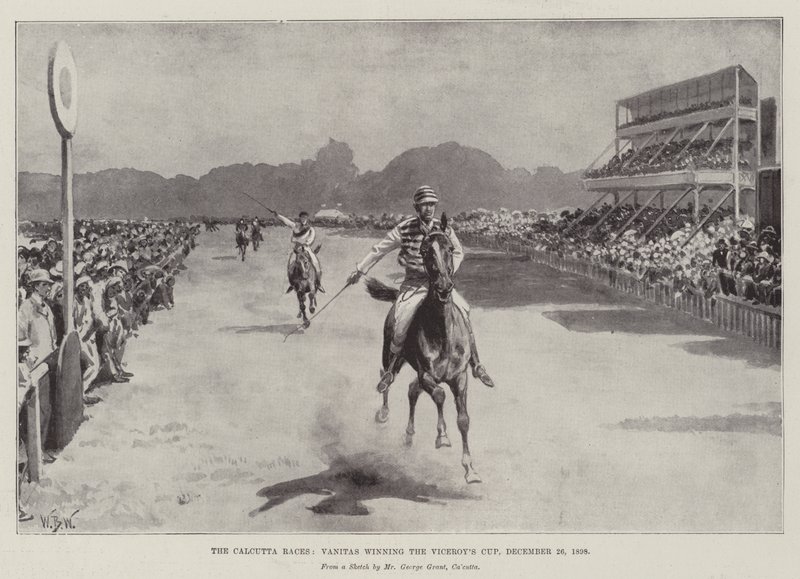 The Calcutta Races, Vanitas zdobywając Puchar Viceroy