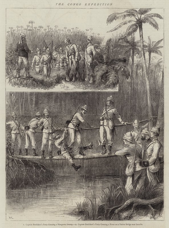 Wyprawa do Kongo autorstwa William Ralston