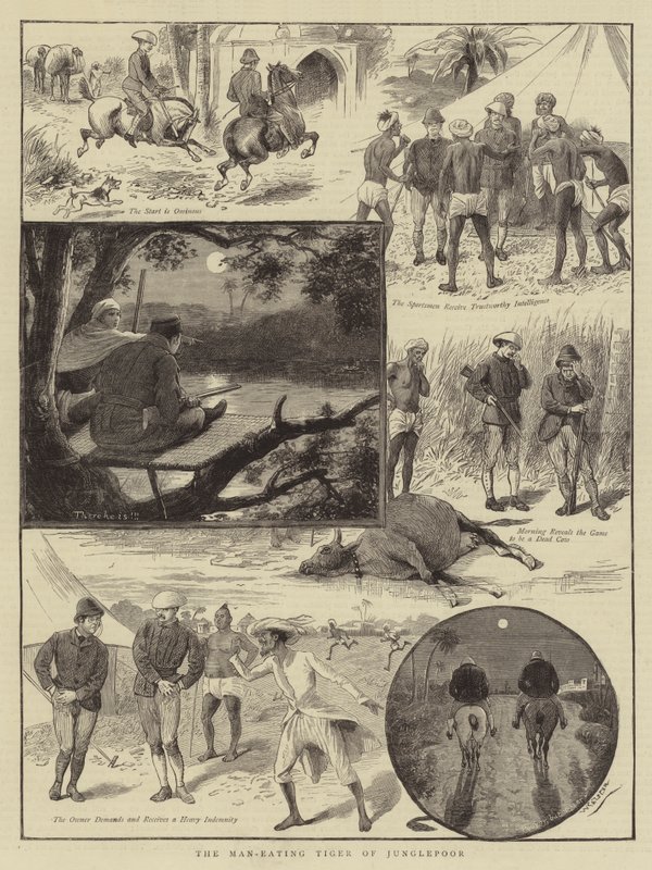 Tygrys ludożerny z Junglepoor autorstwa William Ralston