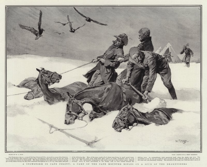 Burza śnieżna w Cape Colony, obóz strzelców konnych Cape na ostrogi Drakensberg autorstwa William T. Maud