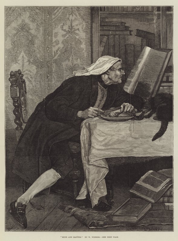 Umysł i materia autorstwa William Weekes