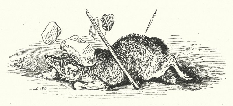 Śmierć wilka (rycina) autorstwa William (after) Harvey