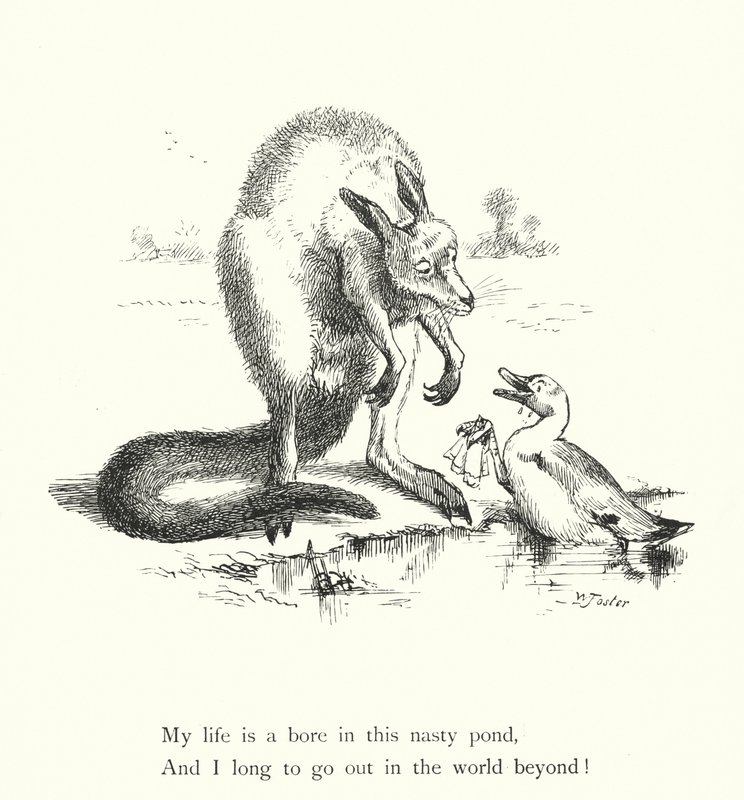 Kaczka i kangur (grawerowanie) autorstwa William Foster