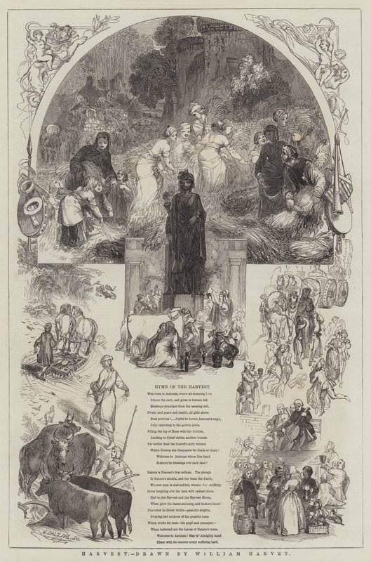 Zbiór autorstwa William Harvey