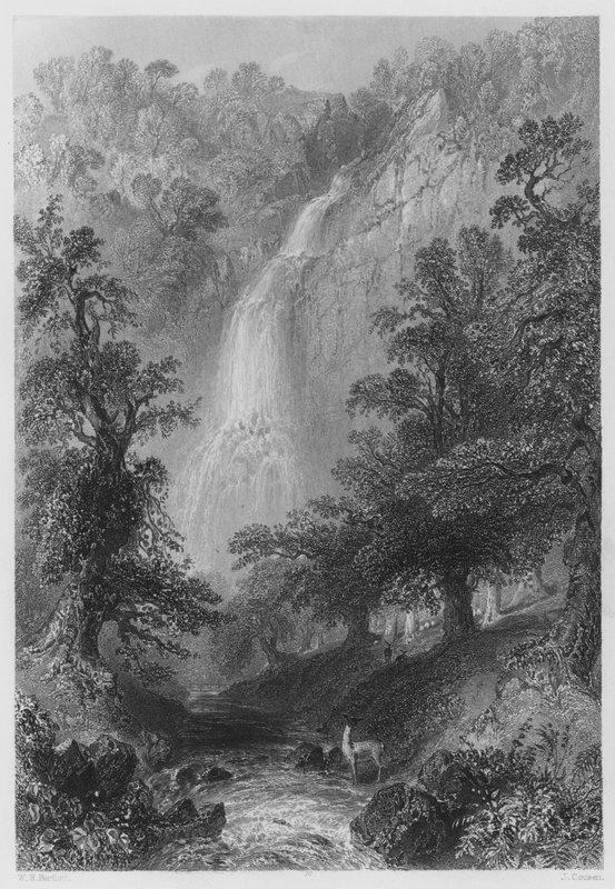 Powerscourt Fall (grawerowanie) autorstwa William Henry (after) Bartlett