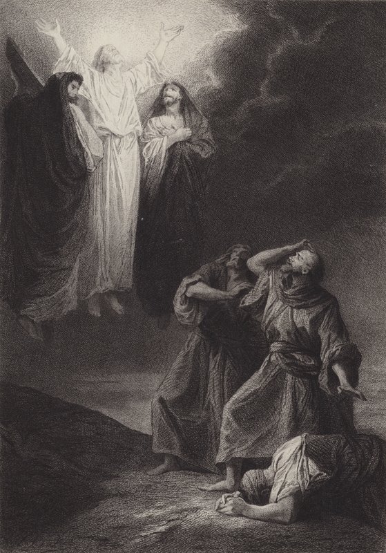 Przemienienie autorstwa after Albert Robida