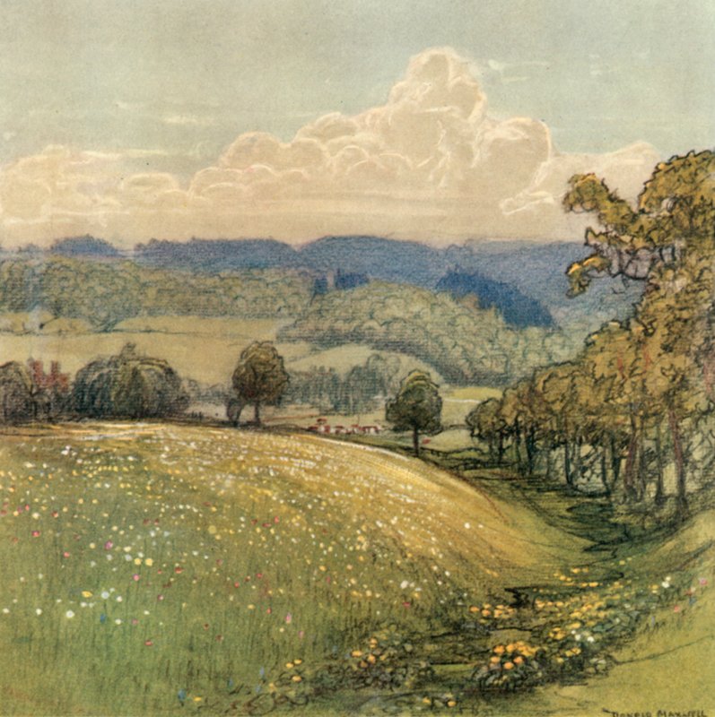 Sussex autorstwa after Donald Maxwell