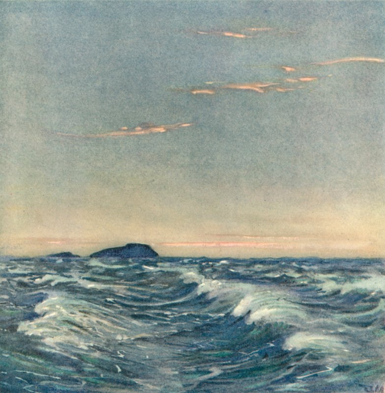 Białe Konie autorstwa after Donald Maxwell