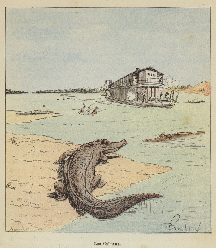 Aligatory autorstwa after Louis Charles Bombled